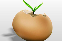 中國煎餅在美國一個賣15美元，下一個走出國門的會是哪個？