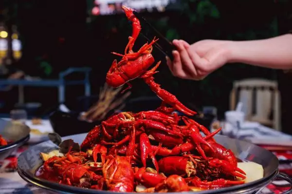 潛江小龍蝦竟搶早1個(gè)月上市！塊頭雖大口感品質(zhì)欠佳