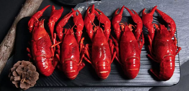 連放大招！中國蝦王密集布局2000億小龍蝦產(chǎn)業(yè)