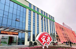 安井只是賣丸子的？不，它已成速凍品類“三劍客