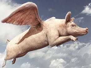 最大養(yǎng)豬戶巨虧4.6億元！風(fēng)口上的“二師兄”為啥沒飛？