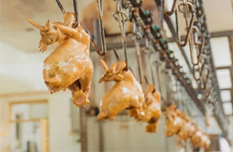 漂泊38年后花800萬“贖回”，道口燒雞老字號“義興張”商標(biāo)完璧歸趙