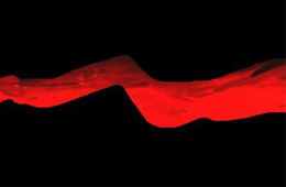 行業(yè)丨速凍食品新國家標(biāo)準(zhǔn)正式實施，這些“紅線”要注意了！