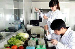 做研發(fā)一年花6838萬，安井“砸錢”氣勢直逼雙匯