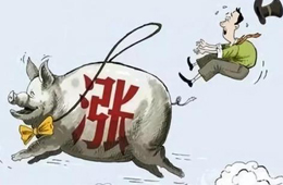 豬肉供應(yīng)量斷崖式下跌，肉價(jià)將開啟全面大漲