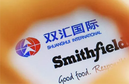 增收不增利，雙匯發(fā)展如何應(yīng)對“二師兄”漲價