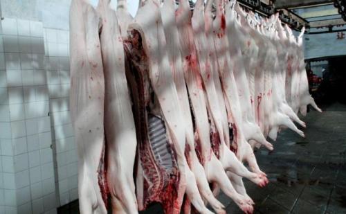 視頻丨嚴、精、快、準！正大集團的豬肉屠宰加工流程