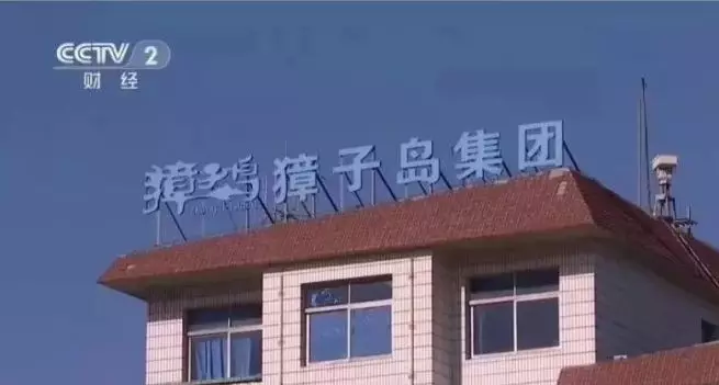 獐子島3億元扇貝“集體暴斃”？