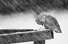 熱點(diǎn) | 海欣營(yíng)銷(xiāo)總監(jiān)給經(jīng)銷(xiāo)商的自救指南：立即行動(dòng)，應(yīng)對(duì)變化！