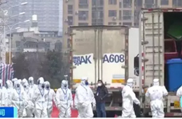 武漢華南海鮮市場完成大規(guī)模消殺；牛蛙、烏龜不列入禁食范圍