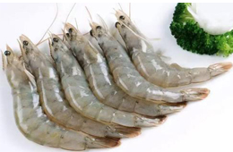 人力缺失、資金鏈斷裂！厄瓜多爾白蝦產(chǎn)能降至三分之一！多家企業(yè)面臨破產(chǎn)風(fēng)險(xiǎn)！