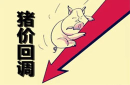  農(nóng)業(yè)農(nóng)村部：豬肉價(jià)格連8周回落，高峰或在9月前后出現(xiàn)