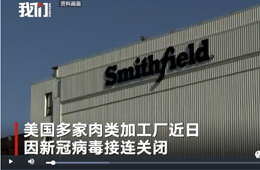 史密斯菲爾德、泰森等國外肉類巨頭停工，或引發(fā)全球“肉慌”？