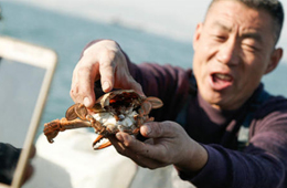 一季度電商直播超400萬場！直播帶貨到底有多火？為何海鮮永遠(yuǎn)是爆品？