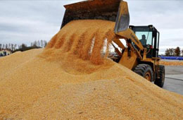  疫情全球肆虐，為什么我國不會(huì)出現(xiàn)糧食危機(jī)?