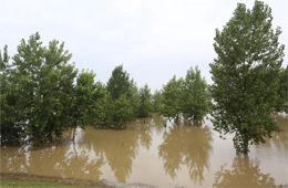 火速馳援！三全、白象、好想你奔赴抗洪一線捐贈美食