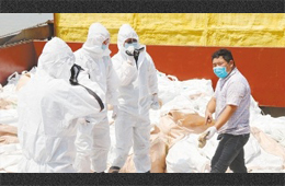 水產、禽肉、豬肉、牛肉…多種進口凍品連續(xù)檢出新冠陽性，冷鏈追溯構筑防控“安全鏈”