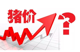 豬價又“變臉”，新一波漲勢來了？農(nóng)業(yè)農(nóng)村部：或持續(xù)到元旦春節(jié)