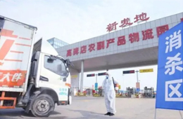 北京新發(fā)地暫停凍品等銷售和儲存；天津海聯(lián)冷庫感染源為北美豬頭