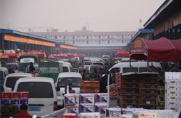 追蹤 | 冷庫(kù)停業(yè)，旺季將至，急壞凍品人！怎么辦？