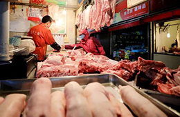 豬、牛、羊等肉類價格集體上漲，年關(guān)怎么過？