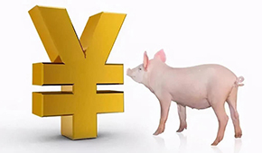 誰是國(guó)內(nèi)養(yǎng)豬第一大?。?/>
                </div>
                <div   id=