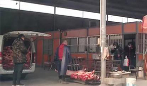 又見瘦肉精，河北青縣問題羊肉流向河南等地！當(dāng)?shù)卣o急回應(yīng)