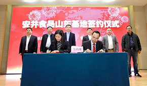 安井新動作：國內(nèi)密集布局產(chǎn)能，海外收購英國公司開啟國際