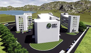 植物肉風(fēng)口下的“黑馬”，三全、思念都選它