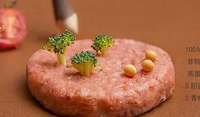 對話拉絲蛋白巨頭：植物肉是一場飲食革命，大眾消費是方向