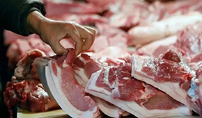 發(fā)改委發(fā)布生豬價(jià)格過度下跌三級(jí)預(yù)警 ，豬價(jià)真的要“奔5”？