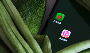 叮咚買菜、每日優(yōu)鮮接連上市，是否持續(xù)利好預(yù)制菜成為“家常菜”？
