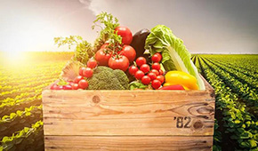 麥金地：從餐配轉(zhuǎn)型食品加工，“三級廚房”打造全國供應(yīng)鏈集群