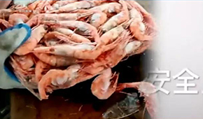 生產(chǎn)日期隨意改、過期蝦換包裝秒變合格品……味庫海鮮攤上事了，曾獲6輪融資