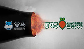 盒馬“炮轟”叮咚買菜，生意不好做大家都暴躁了？