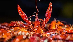 安井再次出手布局，小龍蝦已妥妥成為預(yù)制菜行業(yè)大單品