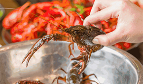 疫情之下，餐飲圈為啥都賣起了小龍蝦？