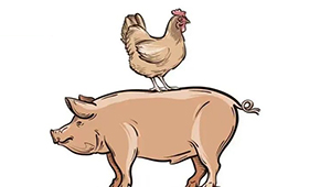 國(guó)慶長(zhǎng)假后豬、雞價(jià)格雙升，發(fā)改委稱近期將投放第五批中央豬肉儲(chǔ)備