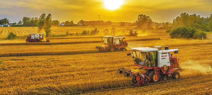 全國(guó)7/10的餃子、3/5的湯圓、1/2的火腿腸…河南這樣承包國(guó)人餐桌