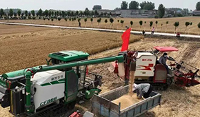 麥收遭遇爛場雨，面粉出廠價“狂飆”，一袋暴漲15元！