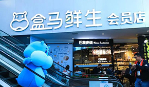 盒馬“移山”，山姆“殺馬”？會(huì)員制商超打起來(lái)了！