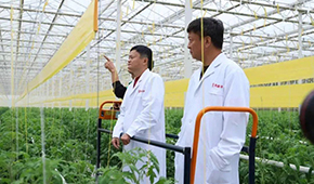 馬家廚房？馬家秘制老鴨煲？馬云的“假動作”為何讓市場興奮？