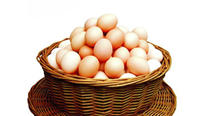 肉蛋制品市場快速增長，如何抓住新型品類機會點？