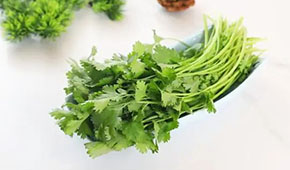 香菜餅、香菜丸、香菜油條、香菜小酥肉…香菜為啥這么“香”？