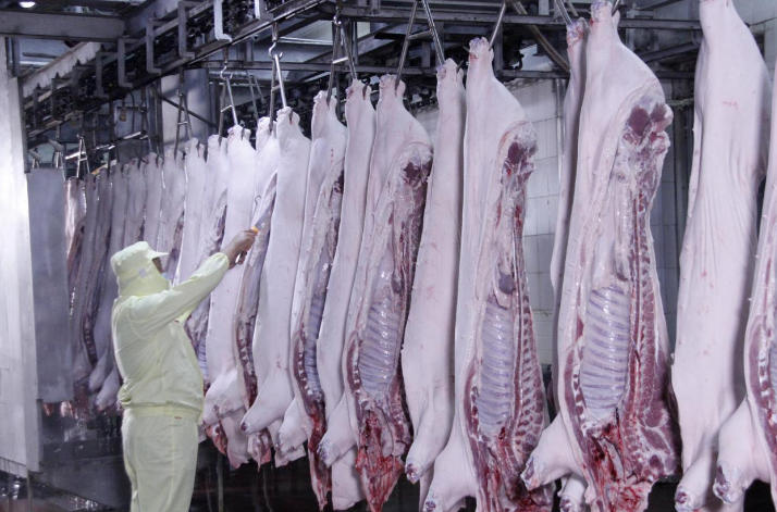 “鮮肉做好腸”，華昱為凍品行業(yè)發(fā)展“趟”出一條新路