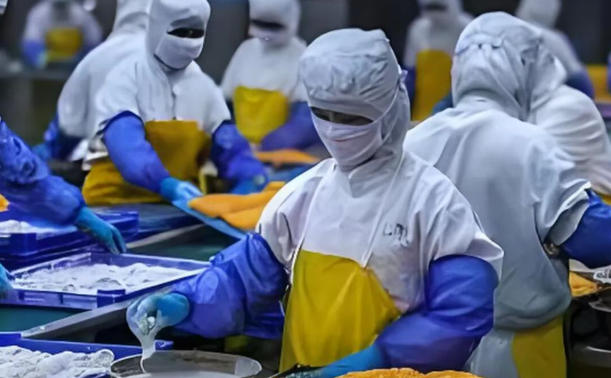 春雪、龍大、匯洋、南滬…肉制品、水產(chǎn)品、海鮮水餃全面開花，煙臺“食”力突圍